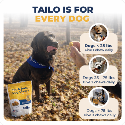 Tailo Hip & Joint Dog Chews - 60 Count