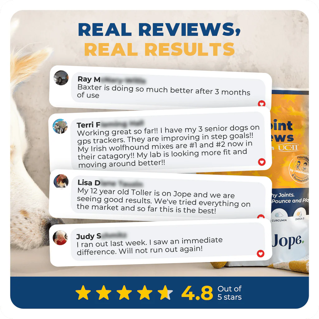 Tailo Hip & Joint Dog Chews - 60 Count