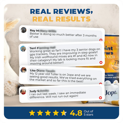 Tailo Hip & Joint Dog Chews - 60 Count